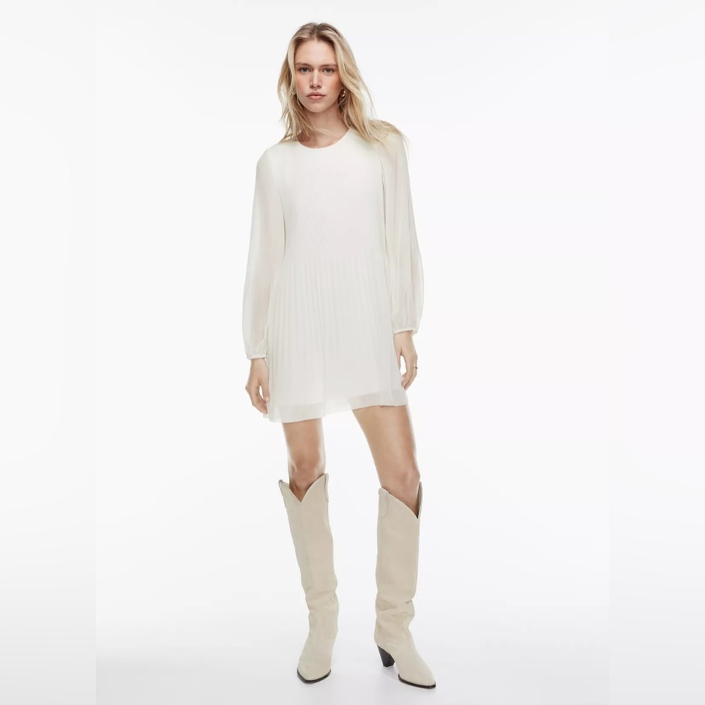 COPY - Aritzia Wilfred Daydreamer Mini Dress